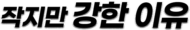 작지만 강한 이유